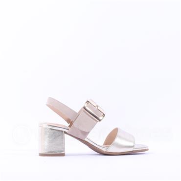 Ara Brighton Block Heel Buckle Sandal - Beige Gold