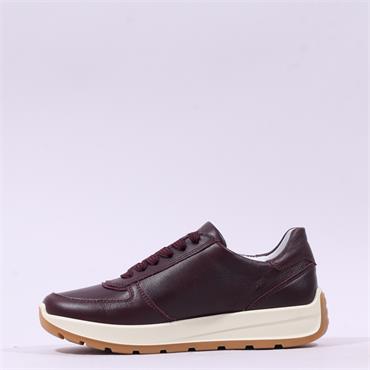 Ara New York Side Zip Laced Trainer - Merlot Cream