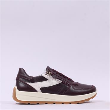 Ara New York Side Zip Laced Trainer - Merlot Cream