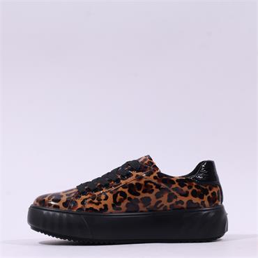 Ara Monaco Platform Laced Trainer - Black Leopard