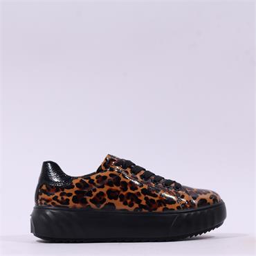 Ara Monaco Platform Laced Trainer - Black Leopard