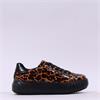 Ara Monaco Platform Laced Trainer - Black Leopard