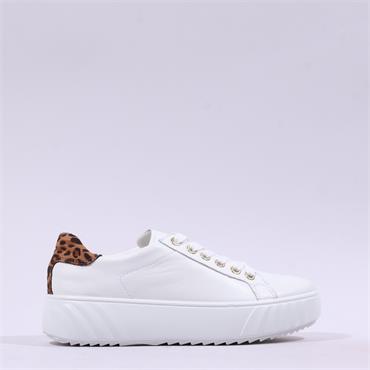 Ara Monaco Platform Laced Trainer - White Leopard
