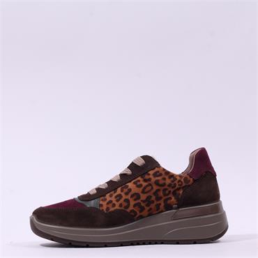Ara Garda Side Zip Wedge Trainer - Mocha Leopard