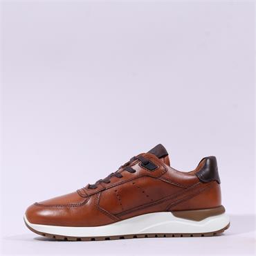 Ecco Men Astir Neo Low Cut Trainer - Brown Leather