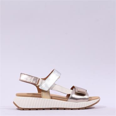 Gabor Gifted Sporty Velcro Multi Sandal - Metallic Combi