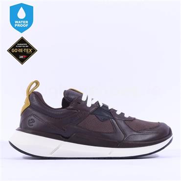 Ecco Men Biom 2.2 Goretex Trainer - Mocha