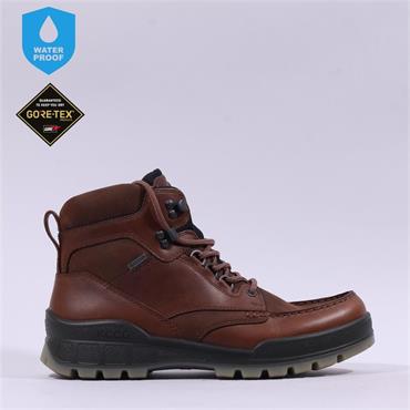 Ecco Men Track 25 GoreTex Boot - Bison Bison
