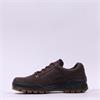 Ecco Men Track 25 GoreTex Shoe - Brown