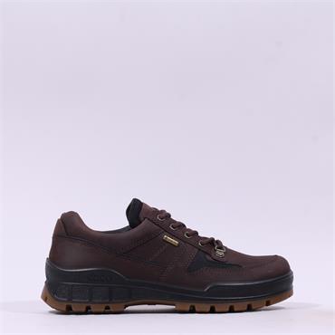 Ecco Men Track 25 GoreTex Shoe - Brown