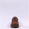 Ecco Men Track 25 GoreTex Shoe - Tan