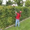 Einhell Long Reach Hedge Cutter / Pruner