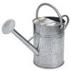 Watering Can Galvanised 9 Litre