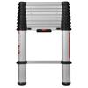 Telesteps Eco 3 Mtr Telescopic Ladder