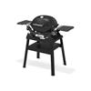 Weber Q1200N  Gas BBQ With Stand