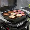 Weber Q1200N  Gas BBQ With Stand