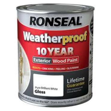 Ronseal 10 Year Exterior Gloss White 750ml