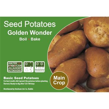 SEED POTATOES GOLDEN WONDER 2KG 