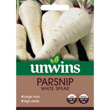 PARSNIP WHITE SPEAR