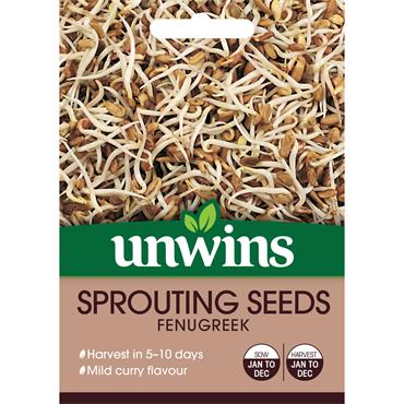 SPROUTING SEEDS FENUGREEK
