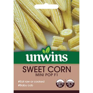 SWEET CORN MINI POP F1