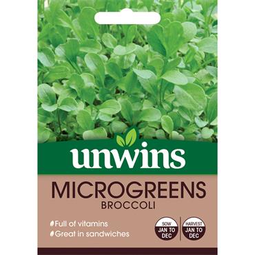 MICROGREENS BROCCOLI
