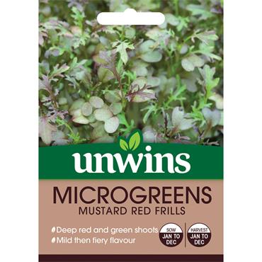 MICROGREENS MUSTARD RED FRILLS