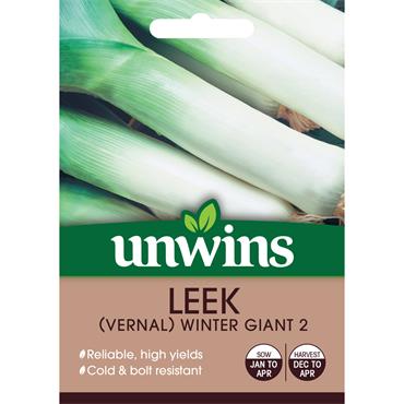 LEEK (VERNAL) WINTER GIANT 2