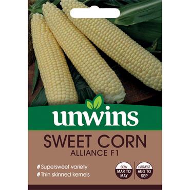 SWEET CORN ALLIANCE F1