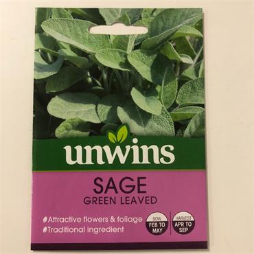 HERB SAGE GREEN LEAVED