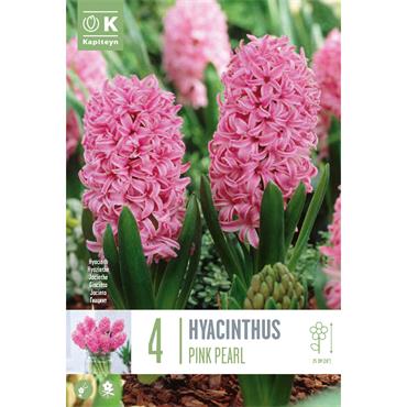 HYACINTH PINK PEARL