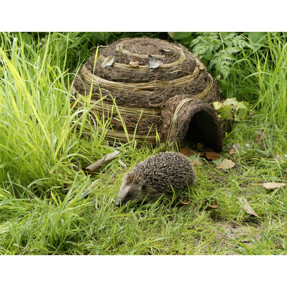 HEDGEHOG IGLOO/SMALL MAMMAL HOME Clonmel Garden Centre Ireland