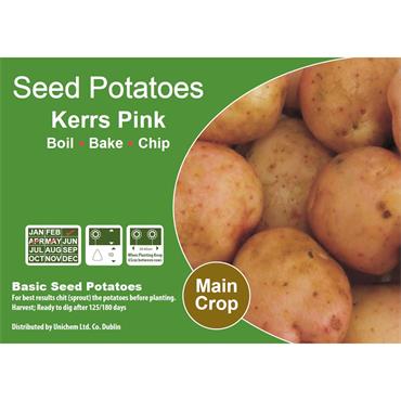 SEED POTATOES KERR'S PINK 2KG