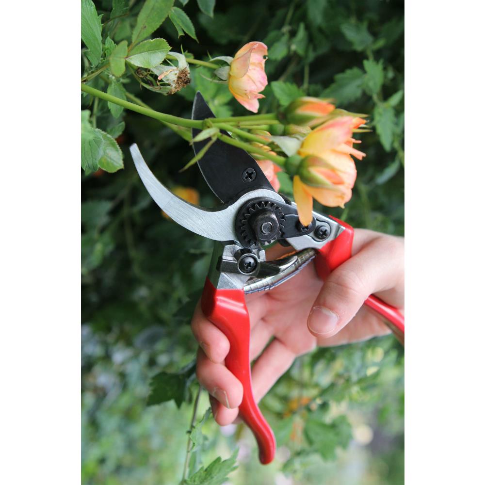 DARLAC PROFESSIONAL PRUNER Clonmel Garden Centre Ireland