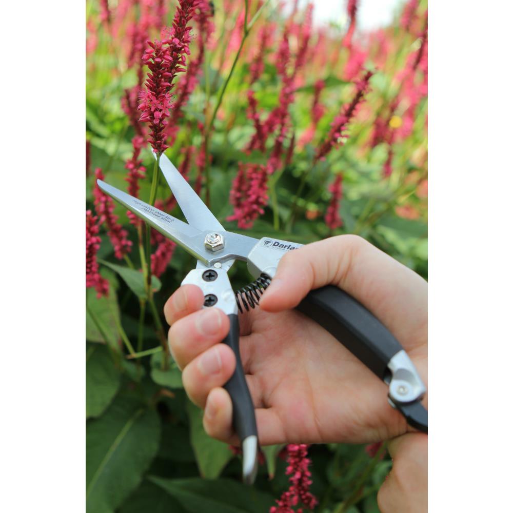 DARLAC COMPACT SHEAR Clonmel Garden Centre Ireland