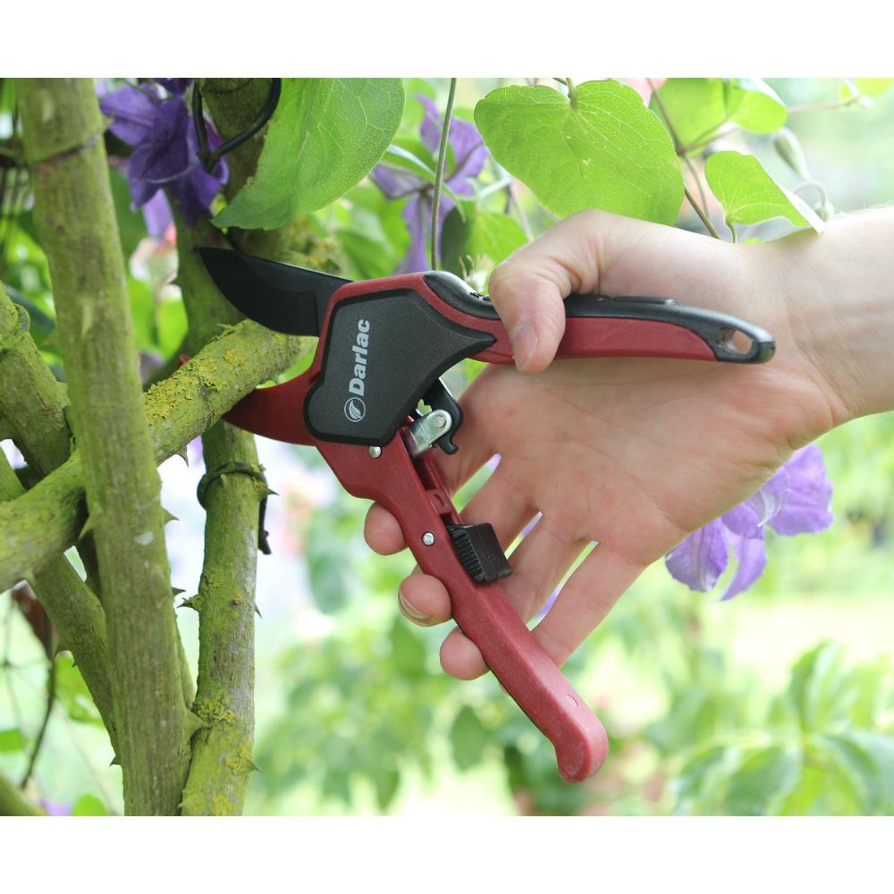 DARLAC CLASSIC RATCHET PRUNER Clonmel Garden Centre Ireland
