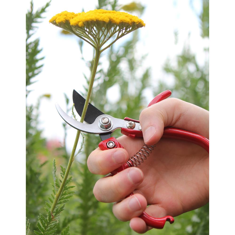 DARLAC ERGO PRUNER Clonmel Garden Centre Ireland