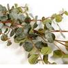 SAGE DECOR EUCALYPTUS GARLAND 160CM