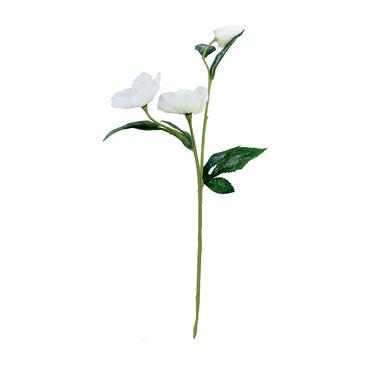 GISELA GRAHAM CHRISTMAS ROSE STEM WHITE