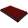 SEED AND CUTTING TRAY - 40 PACK