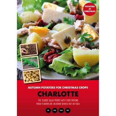 AUTUMN SEED POTATO CHARLOTTE 1KG