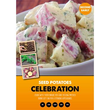 SEED POTATOES CELEBRATION 2KG 