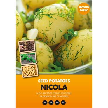 SEED POTATOES NICOLA 2KG