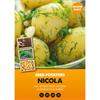 SEED POTATOES NICOLA 2KG