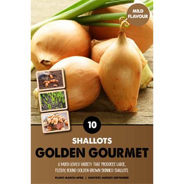 SHALLOT GOLDEN GOURMET X 10