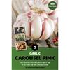 GARLIC CAROUSEL PINK X 2