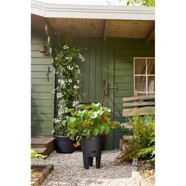 ELHO POT STRAWBERRY 33CM BLACK