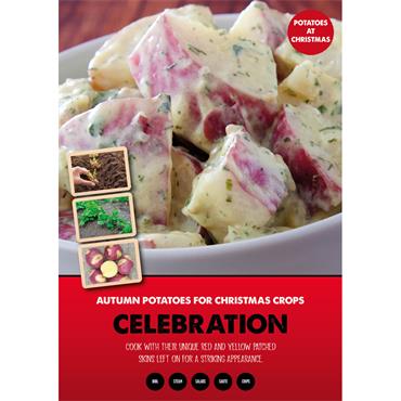 AUTUMN SEED POTATO CELEBRATION 1KG