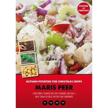 AUTUMN SEED POTATO MARIS PEER 1KG