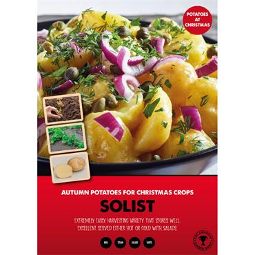 AUTUMN SEED POTATO SOLIST 1KG